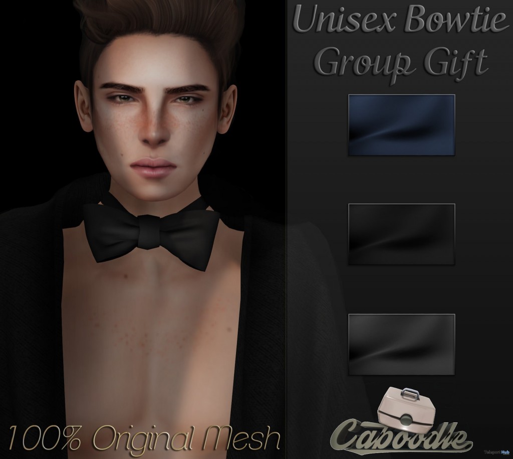 Unisex Bowtie 3 Colors Group Gift by Caboodle - Teleport Hub - teleporthub.com