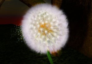 Gorgeous Dandelion Flower - Teleport Hub - teleporthub.com