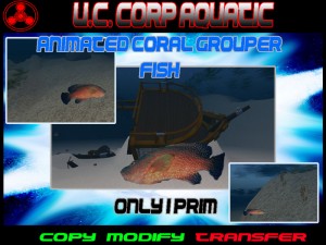 Coral Grouper Fish by Uber Constantine - Teleport Hub - teleporthub.com