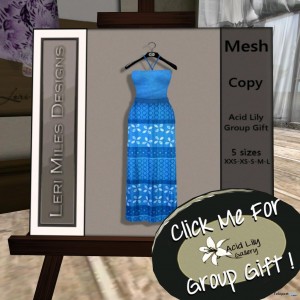 Blue Dress Group Gift by Acid Lily - Telepport Hub - teleporthub.com