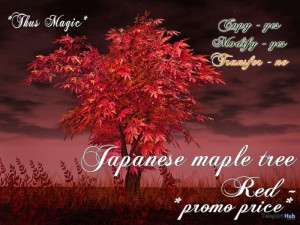 Japanese Maple Tree Red by Thus Magic - Teleport Hub - teleporthub.com