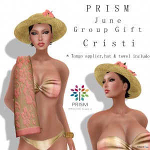 Christi June 2013 Group Gift by Prism Designs - Teleport Hub - teleporthub.com