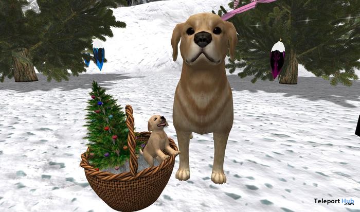 Basket with Cute Dogs by CJ Creations - Teleport Hub - teleporthub.com