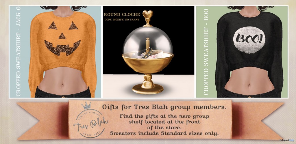Cropped Sweatshirts and Round Cloche October 2015 Group Gift by Tres Blah - Teleport Hub - teleporthub.com