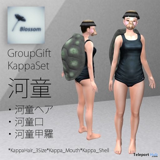 Kappa Set Turtle Avatar Group Gift by Blossom - Teleport Hub - teleporthub.com