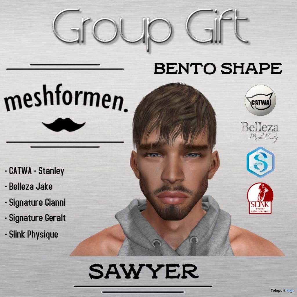 Sawyer Bento Shape For Catwa Head February 2019 Group Gift by MESHFORMEN - Teleport Hub - teleporthub.com