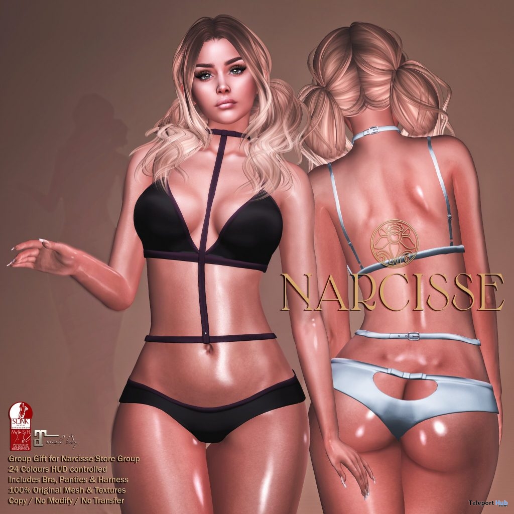 Alex Set Bra, Panties, & Harness April 2019 Group Gift by Narcisse - Teleport Hub - teleporthub.com