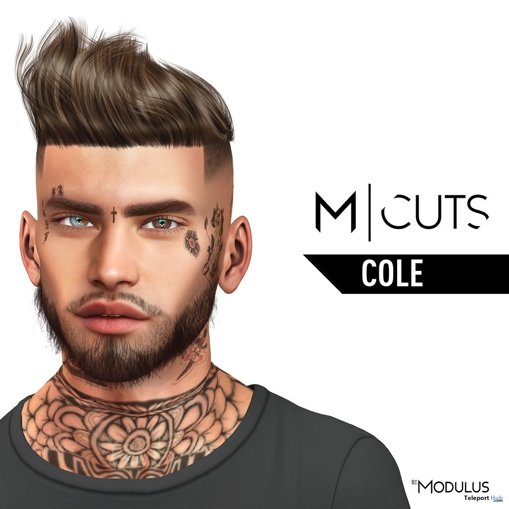 Cole Hair Fatpack July 2019 Gift by Modulus - Teleport Hub - teleporthub.com