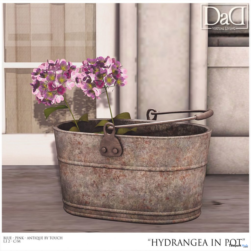 Hydrangea In Pot April 2020 Group Gift by Domus Aurea Design - Teleport Hub - teleporthub.com