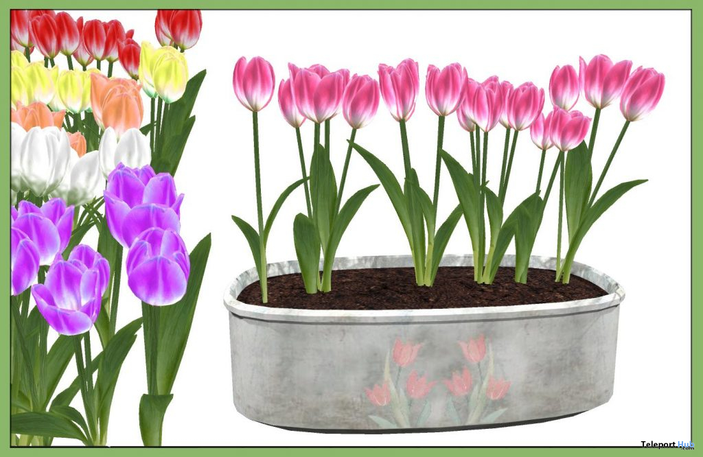 Tulips In Vintage Planter Set March 2021 Group Gift by Careless - Teleport Hub - teleporthub.com