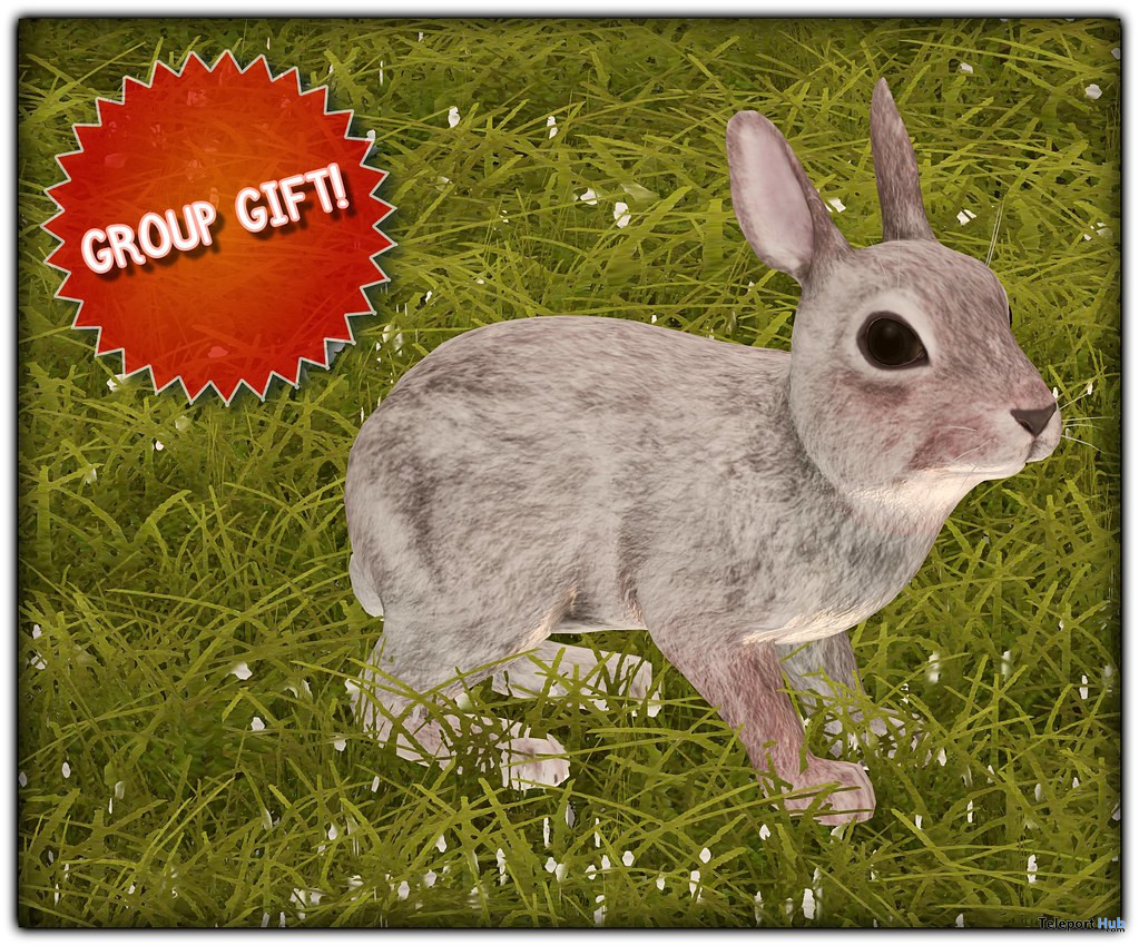 Rabbit March 2023 Group Gift by HIDEKI - Teleport Hub - teleporthub.com