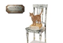 Cat On The Chair September 2026 Gift by HIDEKI Cat On The Chair September 2026 Gift by HIDEKI - Teleport Hub - teleporthub.com
