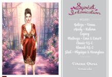 Verena Dress Terracota Teleport Hub Group Gift by Sweet Intoxication Verena Dress Terracota Teleport Hub Group Gift by Sweet Intoxication - Teleport Hub - teleporthub.com