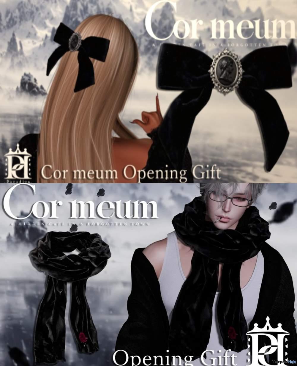 Paradiso Muffler For Men & Ribbon Grand Opening October 2026 Group Gift by Cor meum - Teleport Hub - teleporthub.com